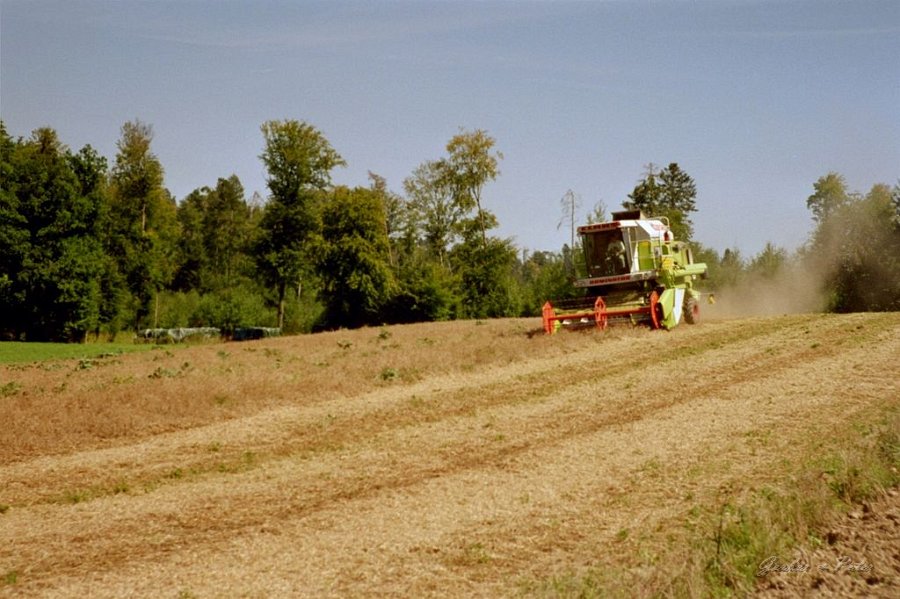 Claas Drescher 36